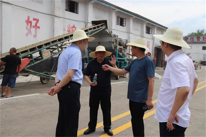 湖南常德国家粮食储备库,常德粮食收购,粮食储存,粮食储备库,省级储备粮,粮食交易