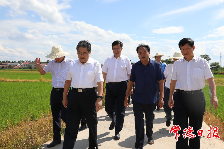 湖南常德国家粮食储备库,常德粮食收购,粮食储存,粮食储备库,省级储备粮,粮食交易