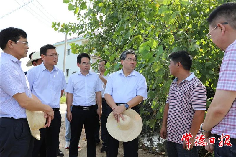 湖南常德国家粮食储备库,常德粮食收购,粮食储存,粮食储备库,省级储备粮,粮食交易