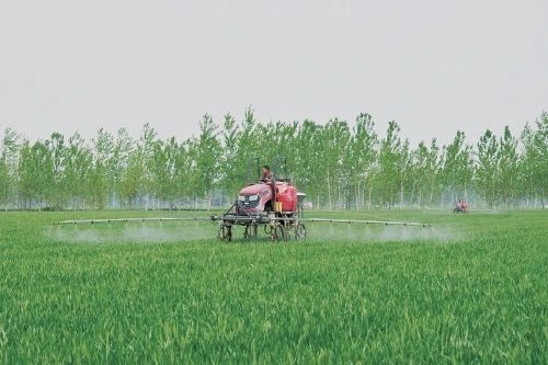 湖南常德国家粮食储备库,常德粮食收购,粮食储存,粮食储备库,省级储备粮,粮食交易